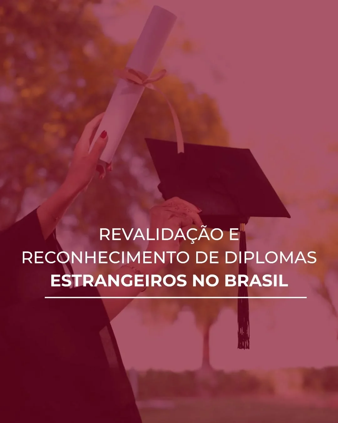 In Brazil, undergraduate and postgraduate diplomas obtained abroad must go through…