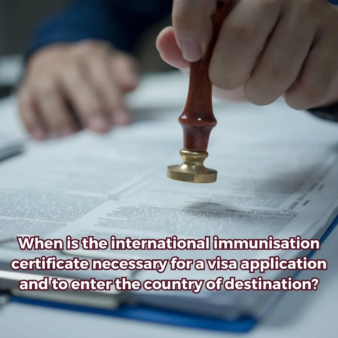 The international immunisation certificate is necessary for individuals applying for a…
