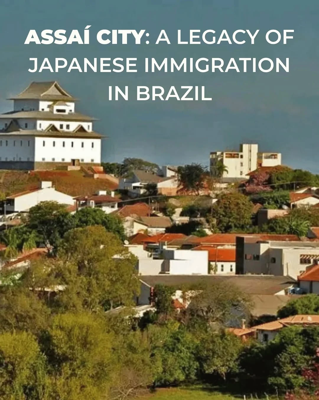Assaí, located in the state of Paraná, Brazil, was established in the early 20th century largely through the efforts of…