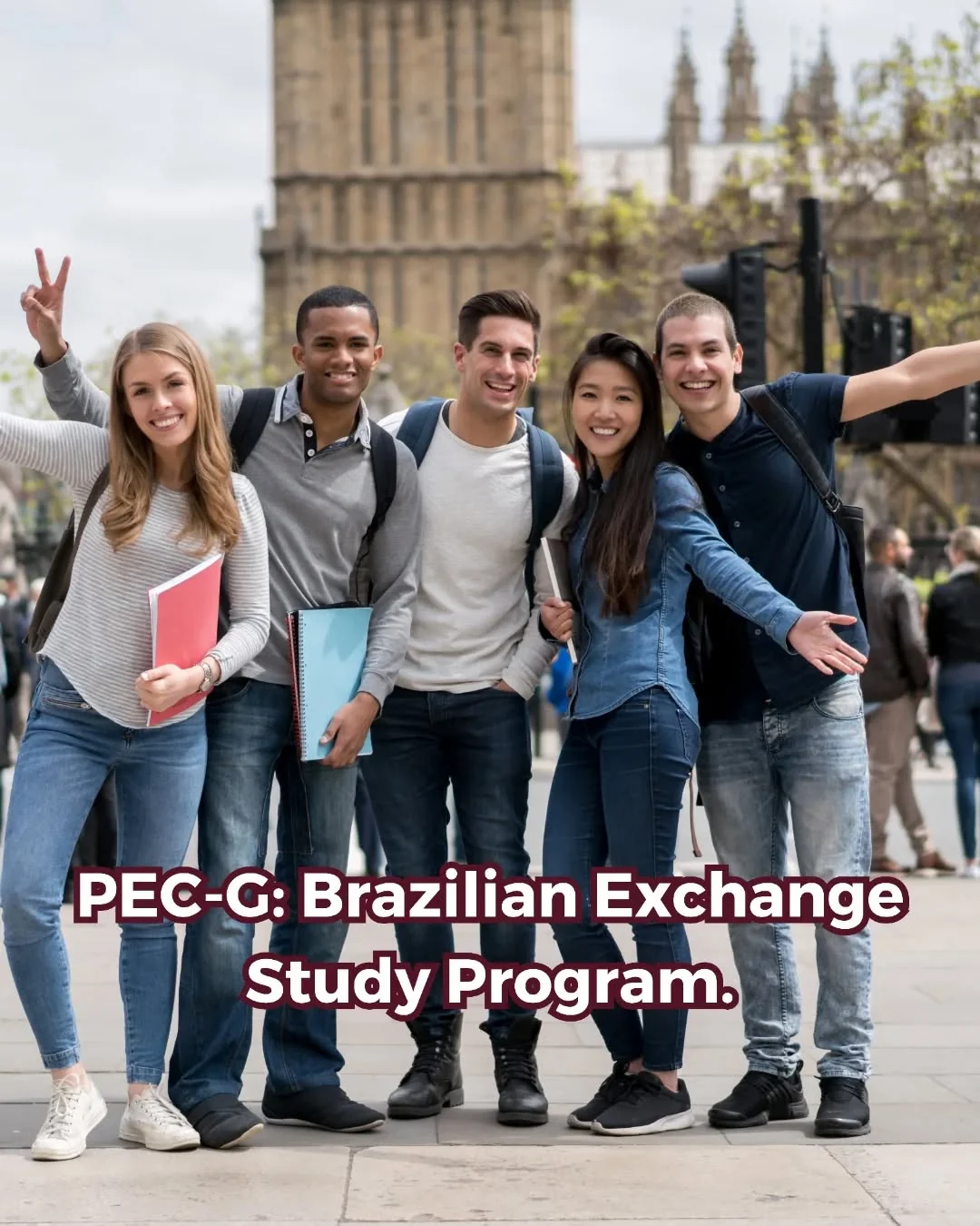 The Undergraduate Student Agreement Program (PEC-G) is a Brazilian government…
