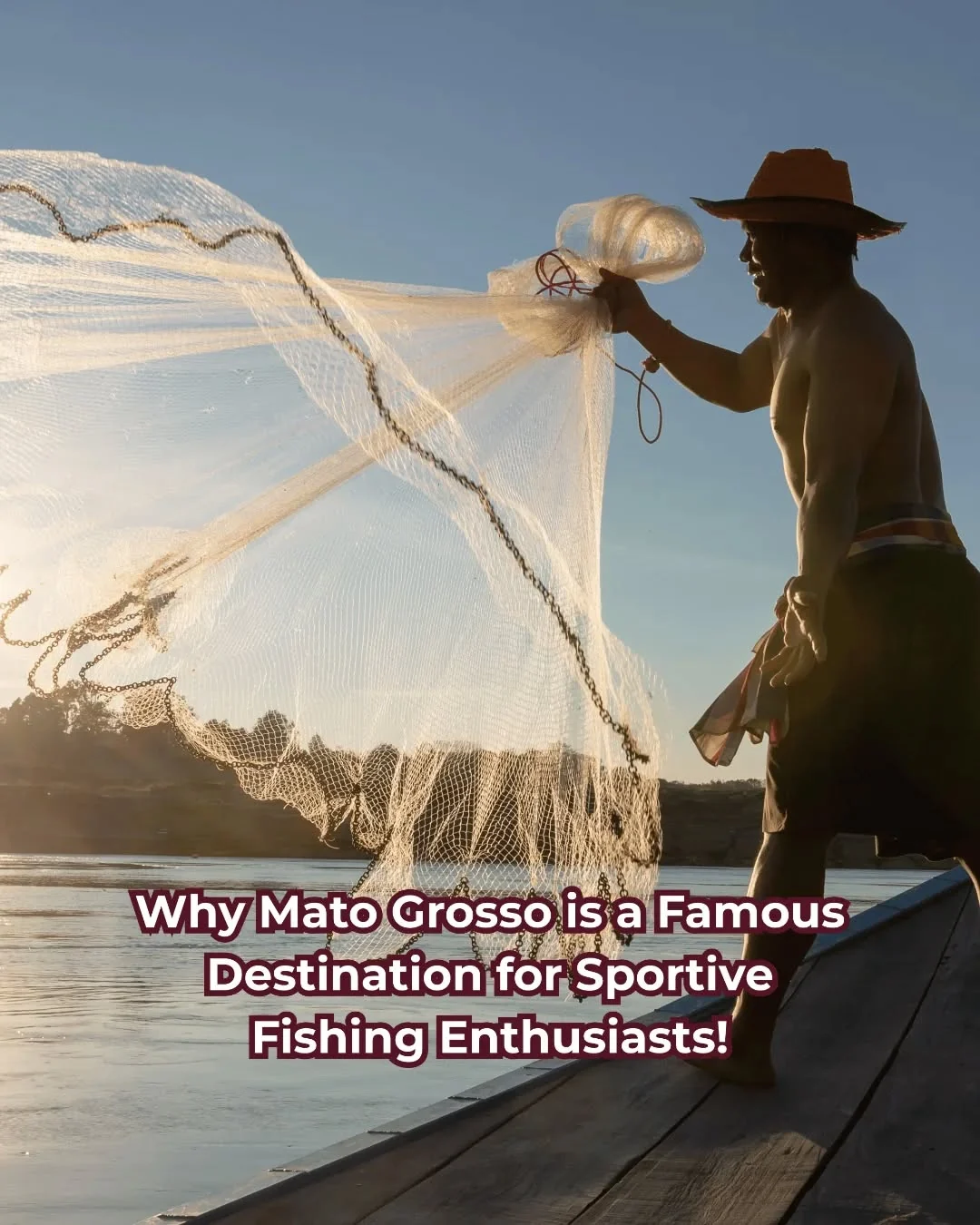 Mato Grosso state, one of Brazil's most biodiverse states, is known for its unique…