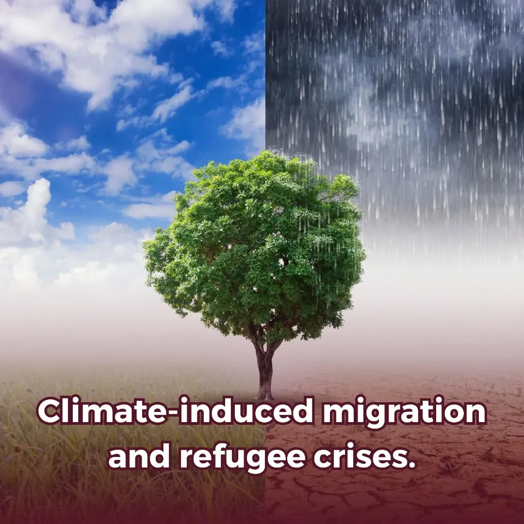Forced migration is the displacement of people from their region of origin due to circumstances beyond their control, such…