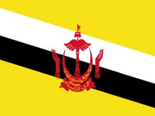 Flag of Brunei for Brazil immigration guide