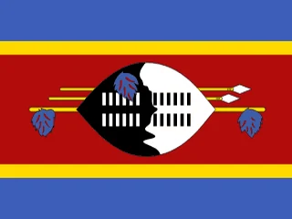 Flag of Eswatini for Brazil immigration guide
