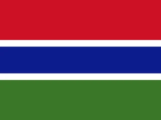 Flag of Gambia for Brazil immigration guide