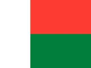 Flag of Madagascar for Brazil immigration guide