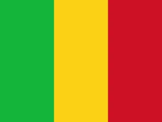 Flag of Mali for Brazil immigration guide