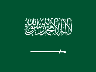 Flag of Saudi Arabia for Brazil immigration guide