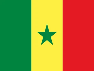 Flag of Senegal for Brazil immigration guide