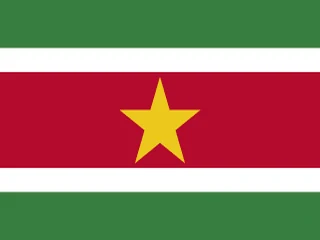 Flag of Suriname for Brazil immigration guide