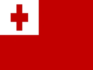 Flag of Tonga for Brazil immigration guide