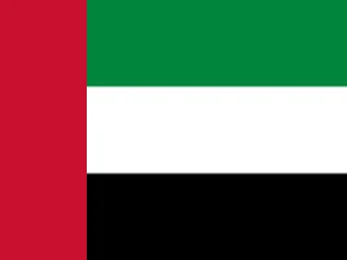 Flag of United Arab Emirates for Brazil immigration guide