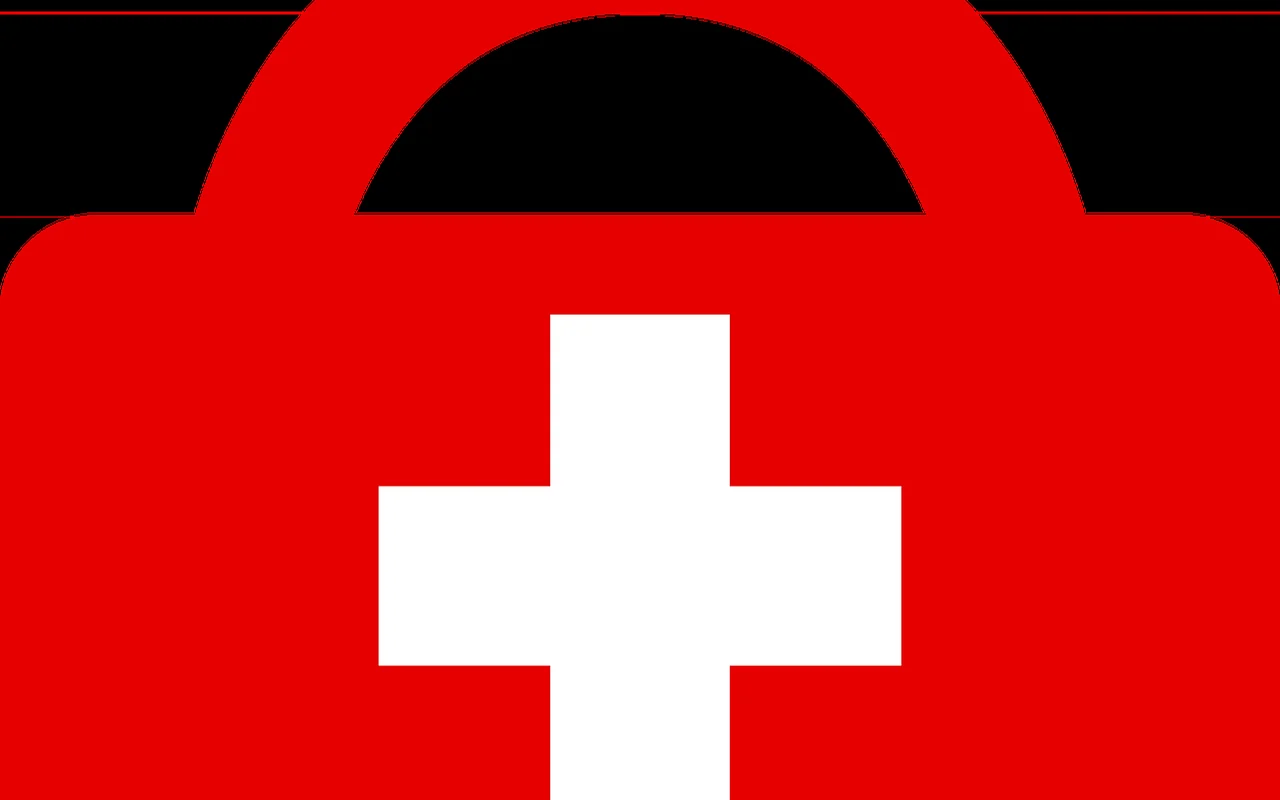 Illustration for Humanitarian Brazilian residency service