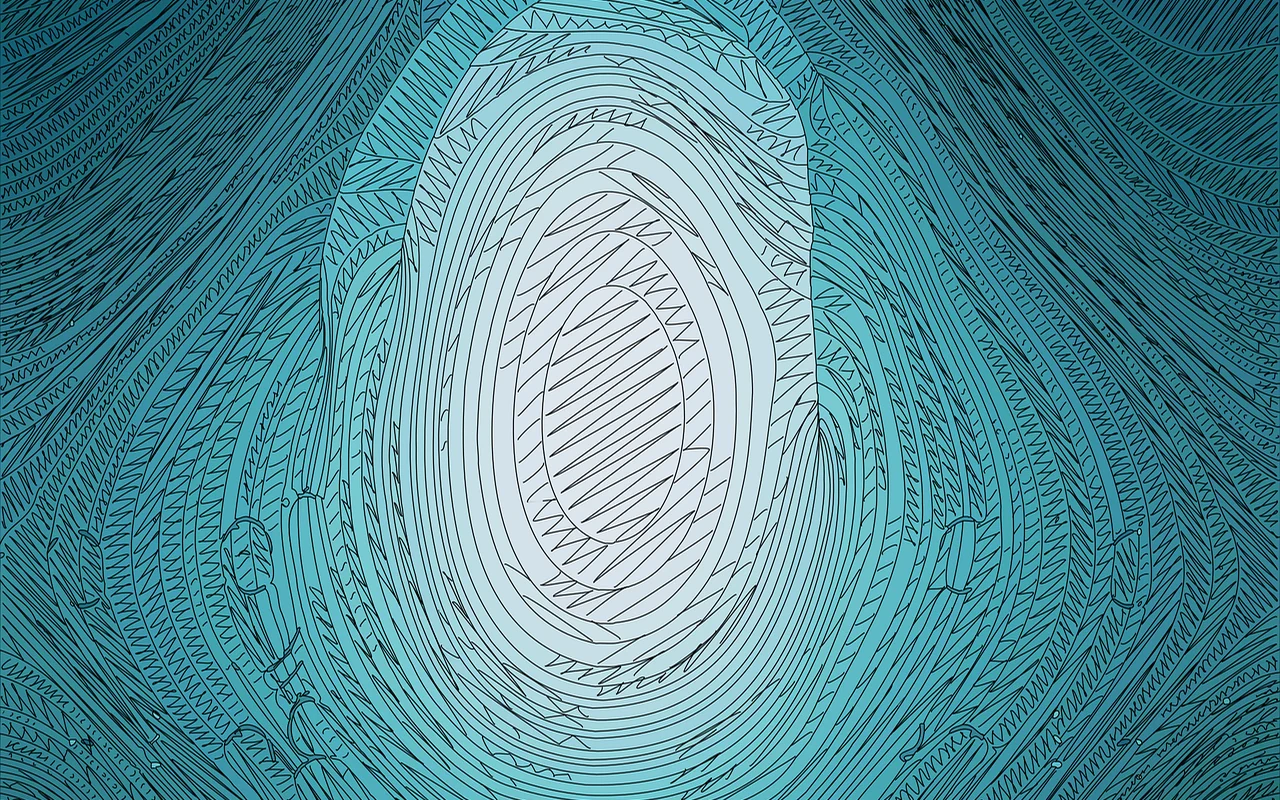 Illustration for Criminal Records Brazil immigration support service
